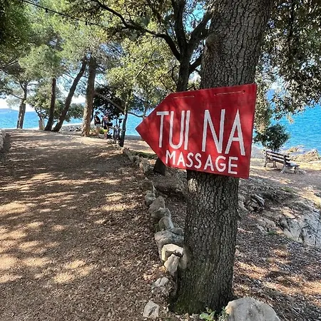 Blue Penguin - Offer For Digital Nomads דירה Pinezići