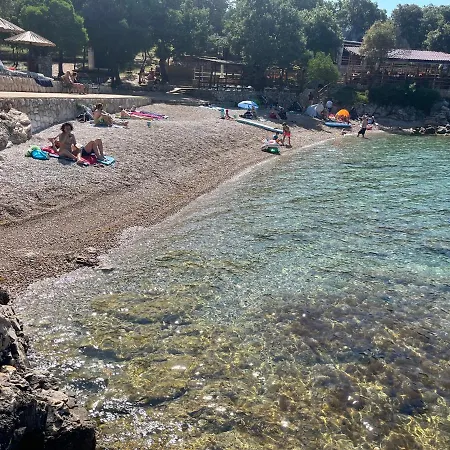 Blue Penguin - Offer For Digital Nomads