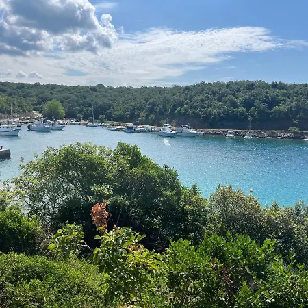 Blue Penguin - Offer For Digital Nomads