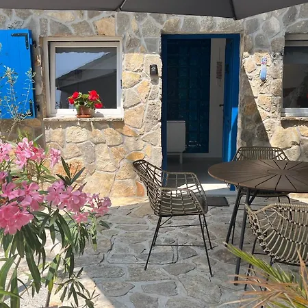 Blue Penguin - Offer For Digital Nomads