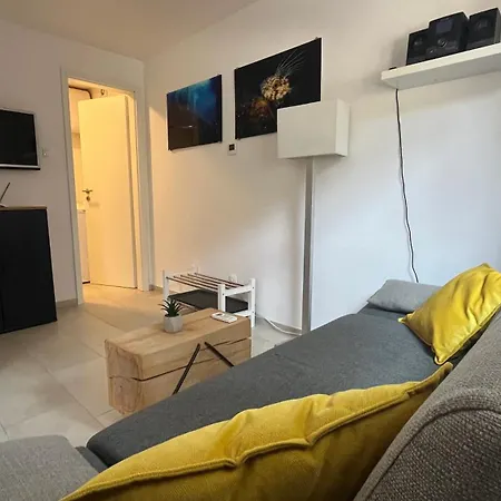 Blue Penguin - Offer For Digital Nomads