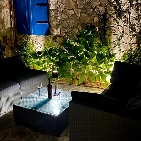 Blue Penguin - Offer For Digital Nomads *