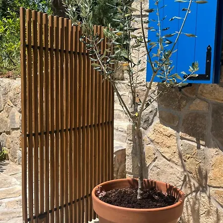 דירה Blue Penguin - Offer For Digital Nomads *