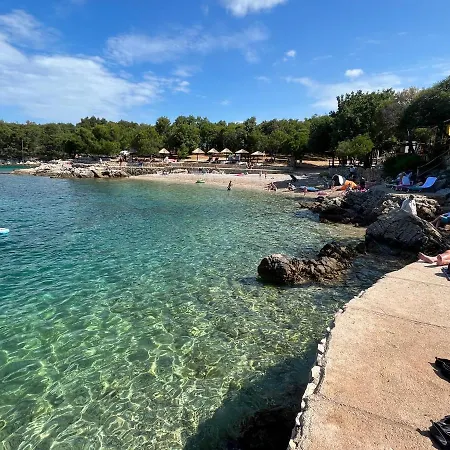 Blue Penguin - Offer For Digital Nomads Apartman