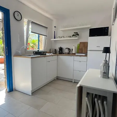 Blue Penguin - Offer For Digital Nomads