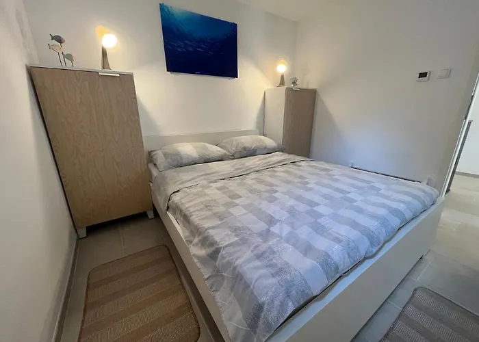 Blue Penguin Pinezići