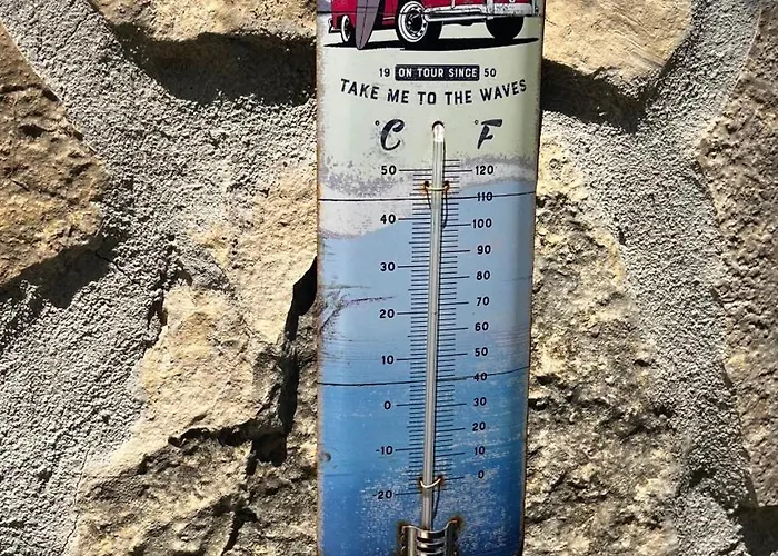 Blue Penguin Pinezići