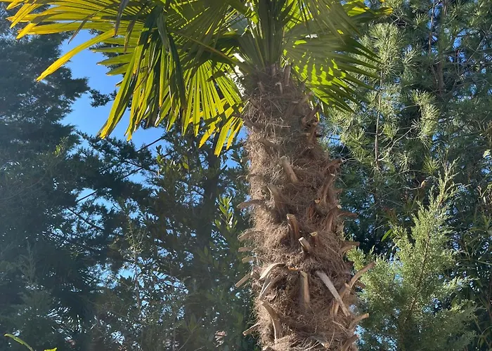 Blue Penguin Apartman Pinezići